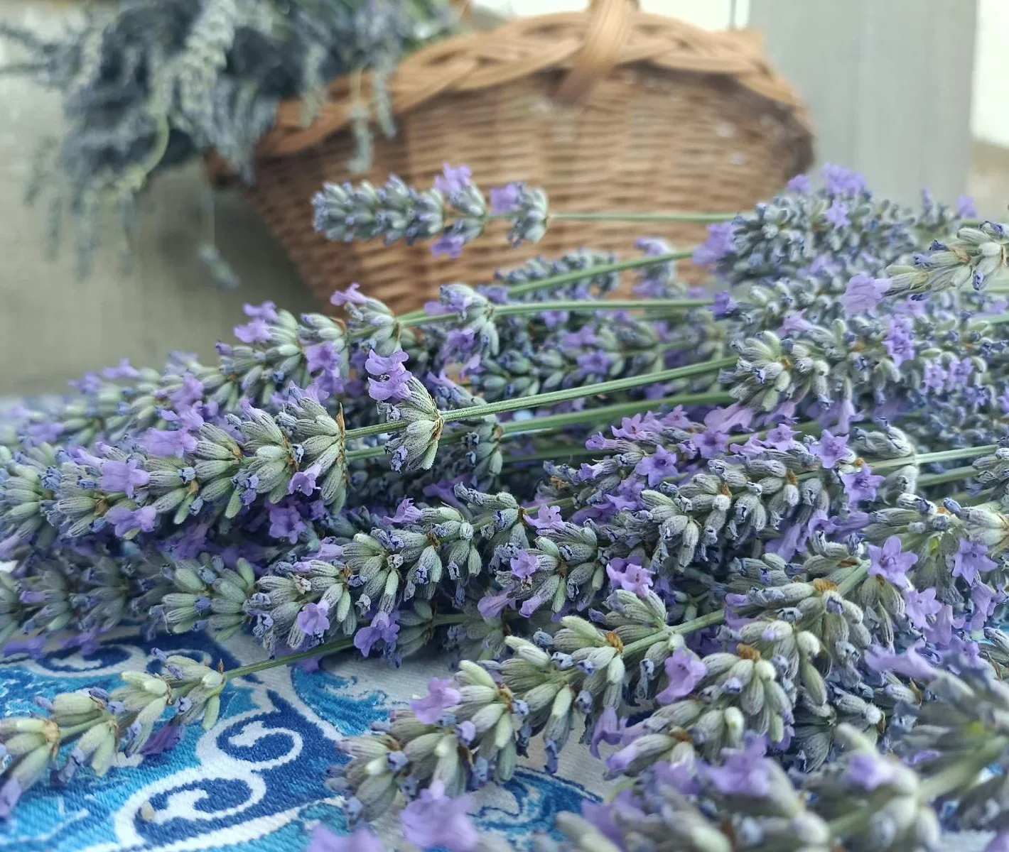Sremuš, lavanda i vanilice